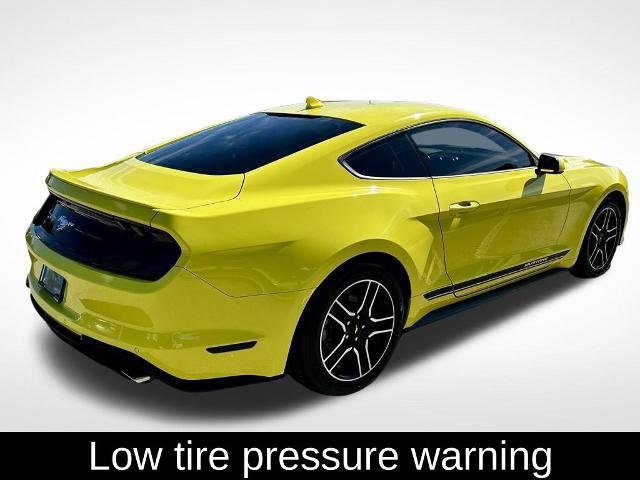 Certified 2021 Ford Mustang Premium image 4