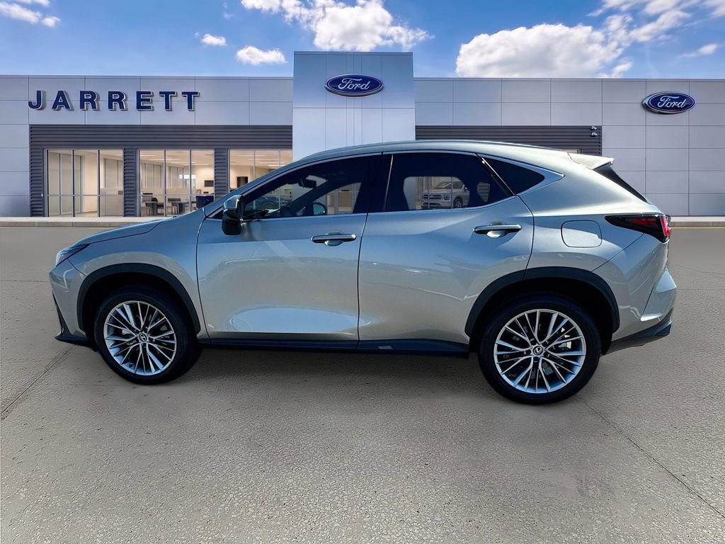 Used 2025 Lexus NX 350h AWD w/ Cold Area Package image 4