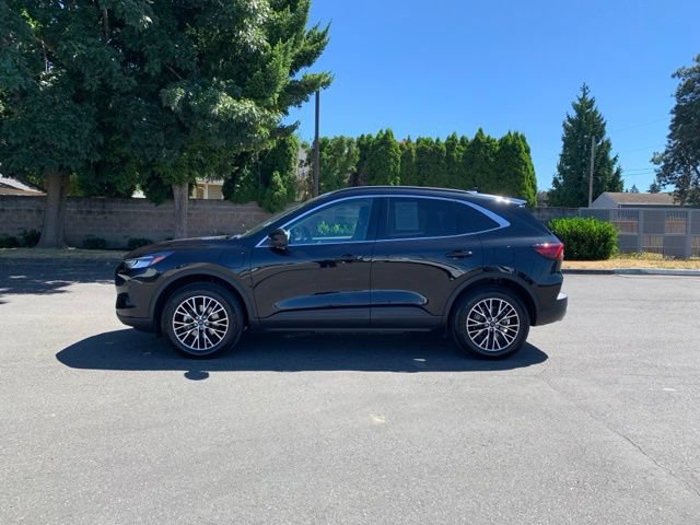 Certified 2025 Ford Escape SE FWD image 2