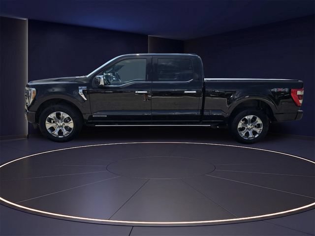 Certified 2022 Ford F150 Platinum w/ Equipment Group 701A High AWD/4WD image 7