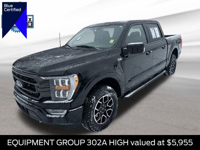 Certified 2023 Ford F150 XLT w/ Equipment Group 302A High image 1