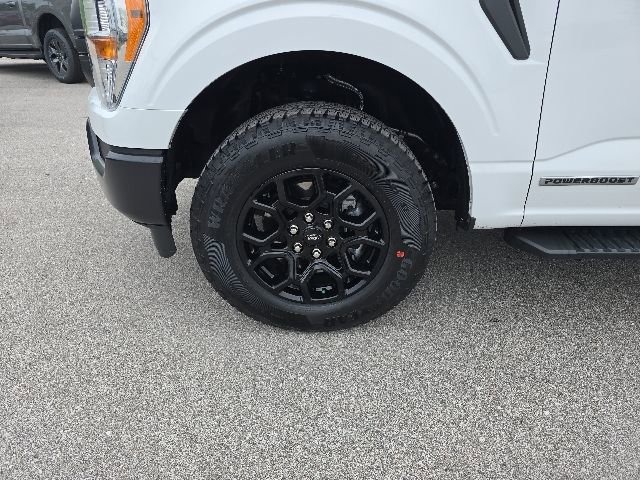 Certified 2021 Ford F150 XL AWD/4WD image 9