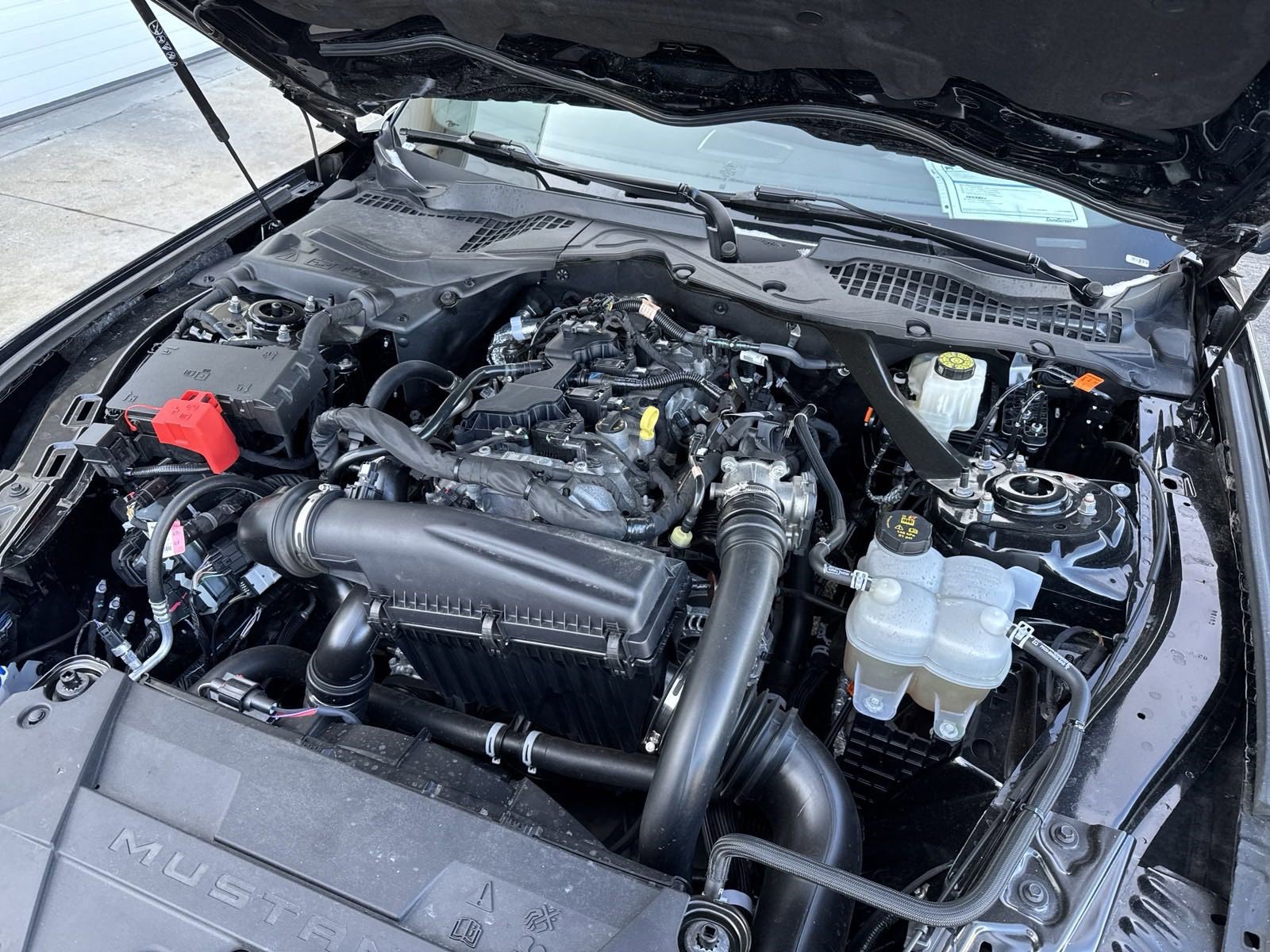 Certified 2024 Ford Mustang Premium image 67