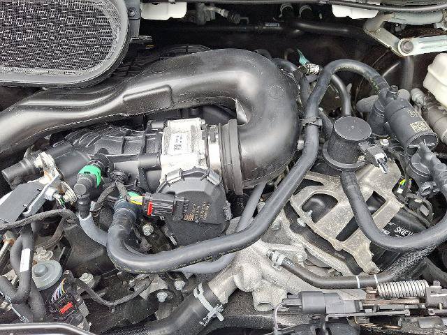 Certified 2025 Ford Transit 250 Low Roof w/ Exterior Upgrade Package RWD image 28
