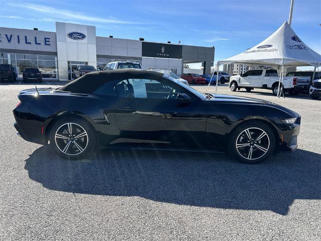 Certified 2024 Ford Mustang Premium image 3