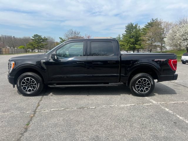 Certified 2023 Ford F150 XLT w/ Equipment Group 302A High AWD/4WD image 3