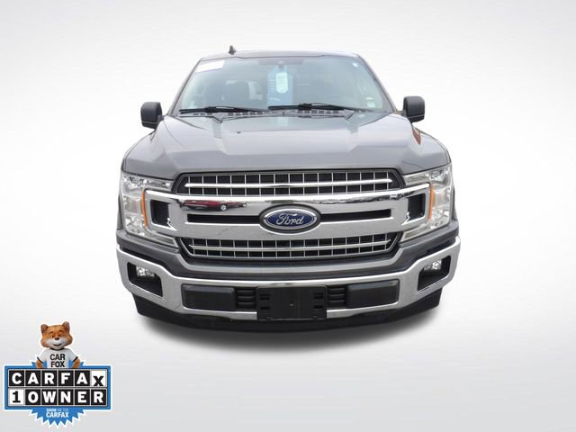 Certified 2019 Ford F150 XLT w/ Equipment Group 302A Luxury image 2