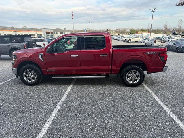 Certified 2025 Ford F150 XLT w/ Equipment Group 301A Standard image 2