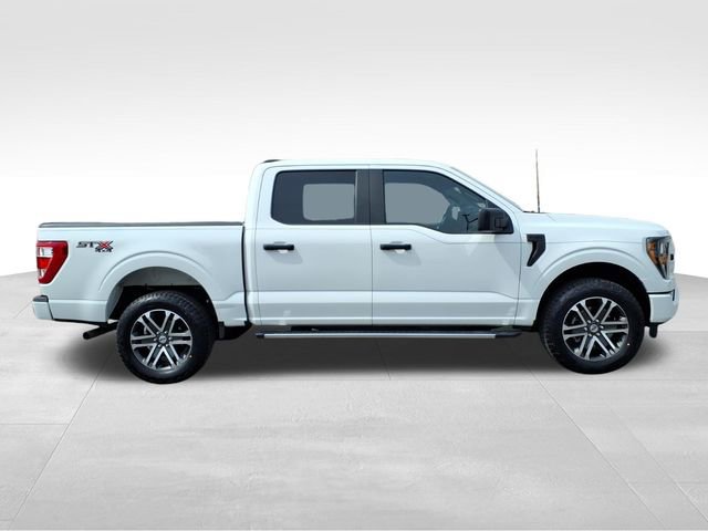 Certified 2023 Ford F150 XL w/ STX Appearance Package image 7