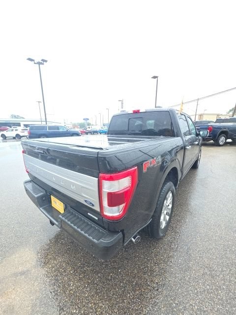 Certified 2022 Ford F150 Platinum w/ Equipment Group 701A High AWD/4WD image 8