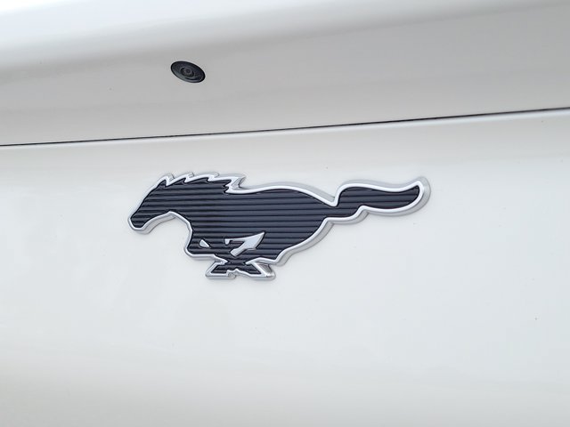 Certified 2023 Ford Mustang Mach-E Premium RWD image 8