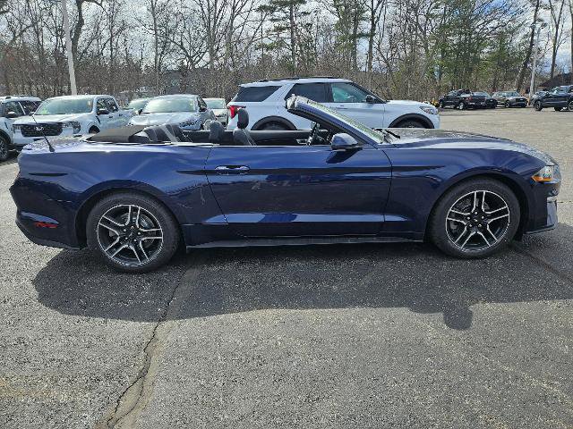 Certified 2020 Ford Mustang Premium w/ Equipment Group 201A image 4