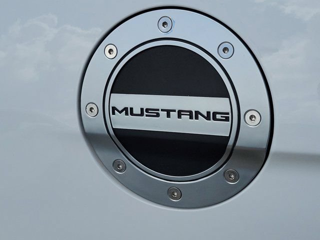 Certified 2019 Ford Mustang GT Premium RWD image 11