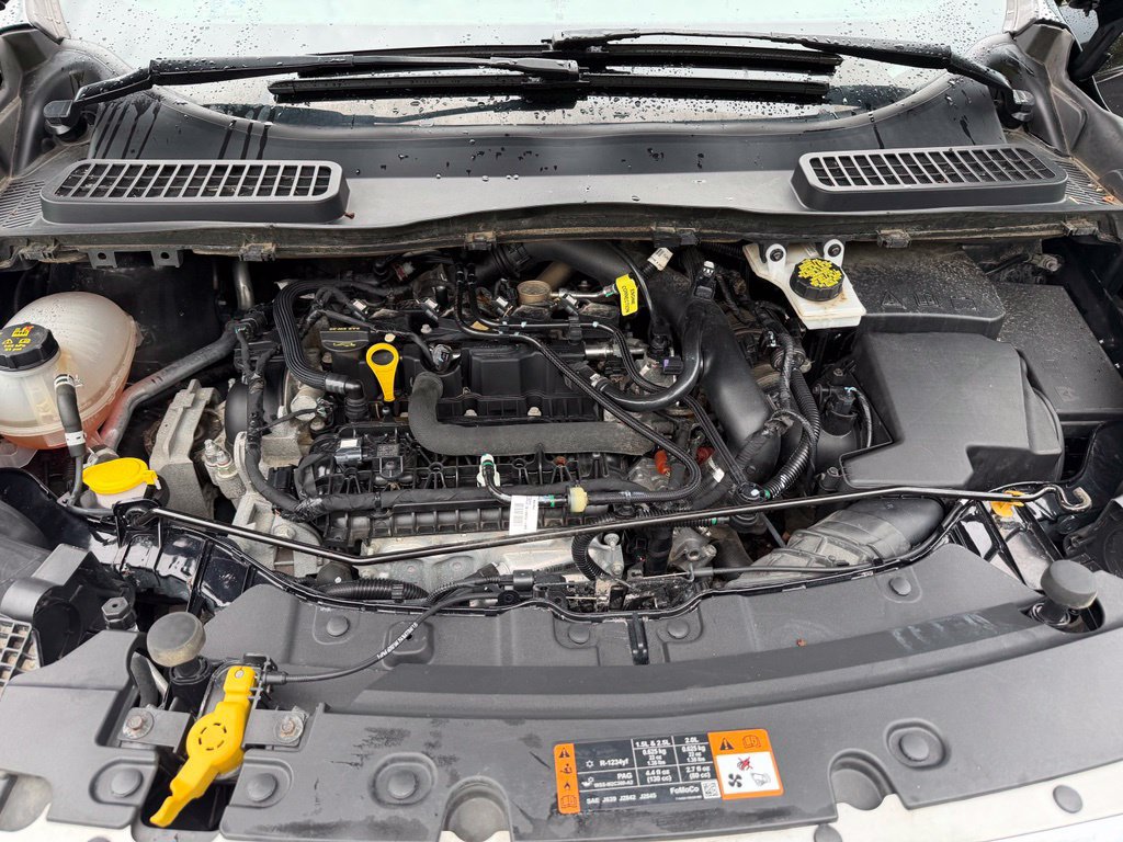 Certified 2019 Ford Escape SE FWD image 39