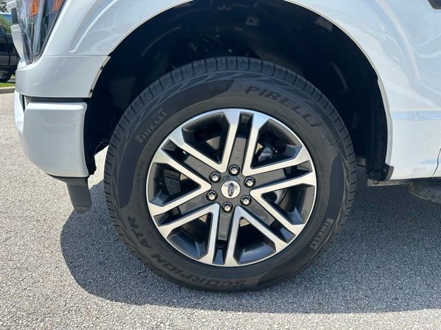 Certified 2023 Ford F150 XL w/ STX Appearance Package AWD/4WD image 29