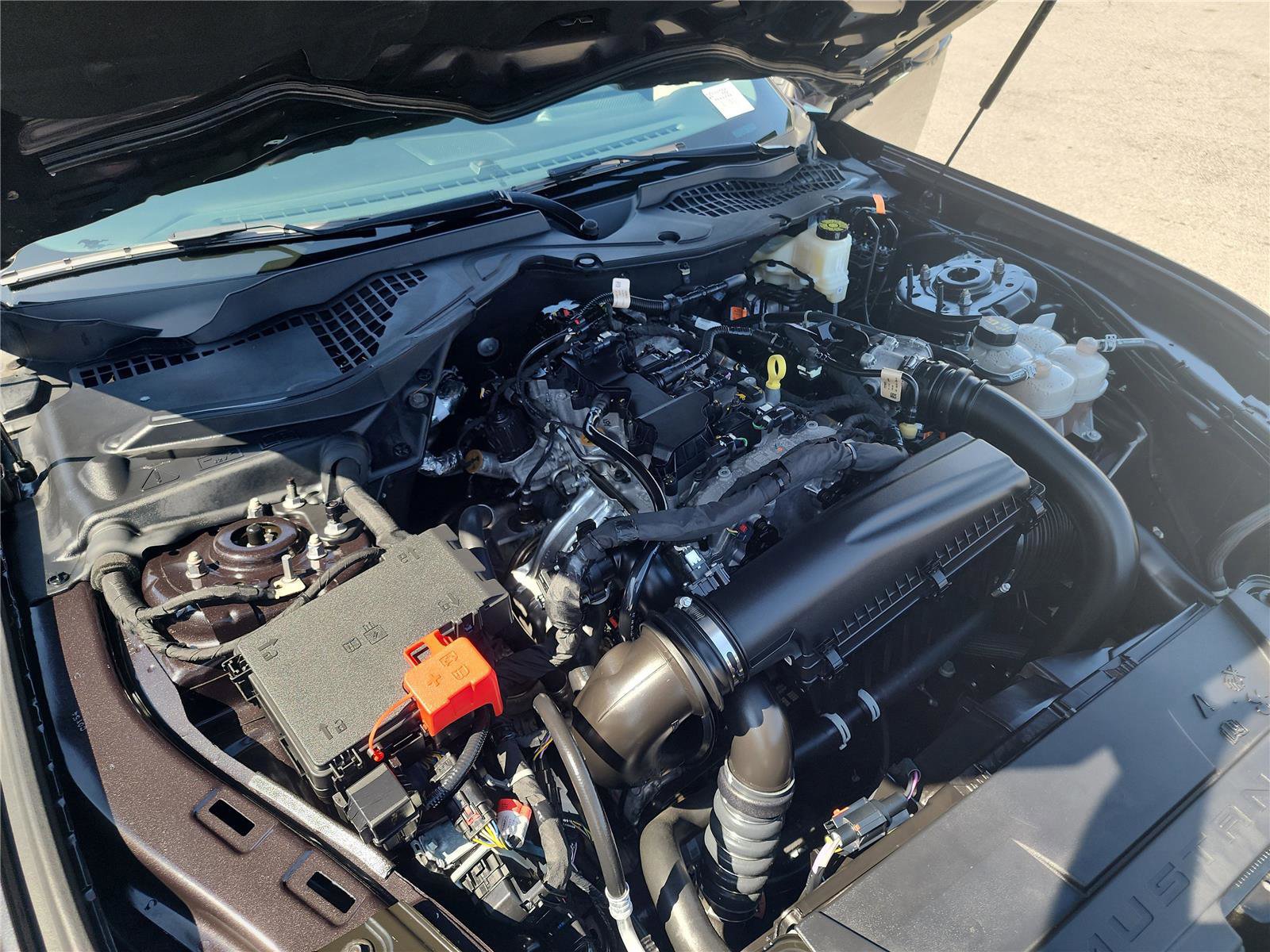 Certified 2024 Ford Mustang Premium image 24