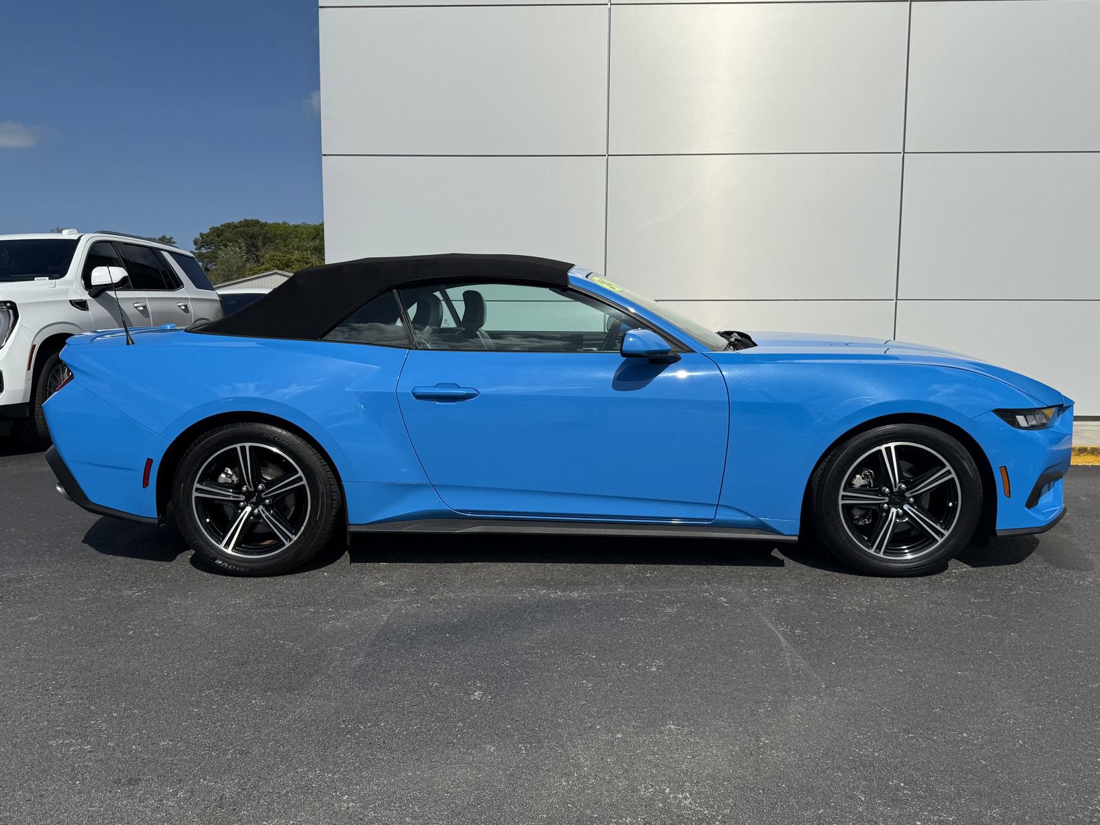 Certified 2024 Ford Mustang Premium image 3