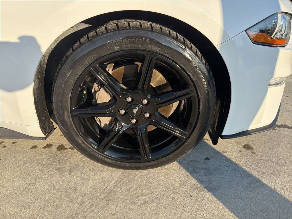 Certified 2019 Ford Mustang GT w/ Equipment Group 301A image 11