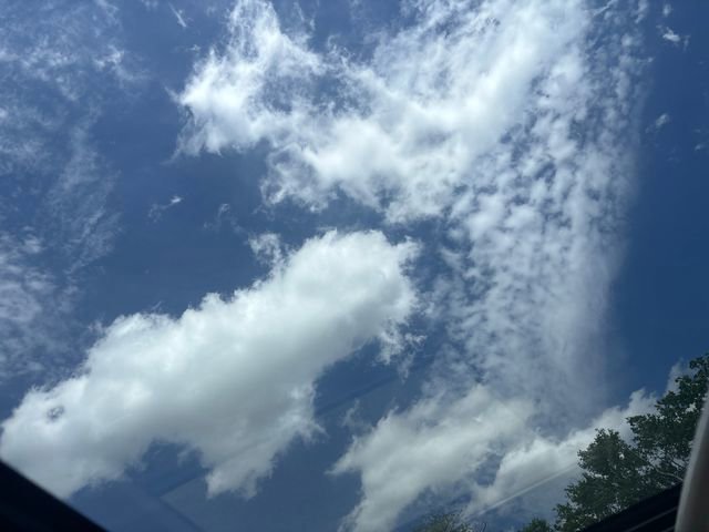 Used 2023 Toyota 4Runner TRD Off-Road Premium w/ Off Road Premium Plus Package image 14