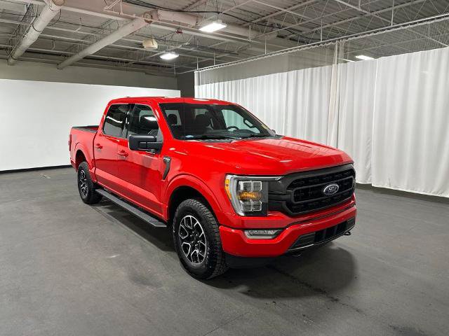 Certified 2021 Ford F150 XLT w/ Equipment Group 302A High AWD/4WD image 3