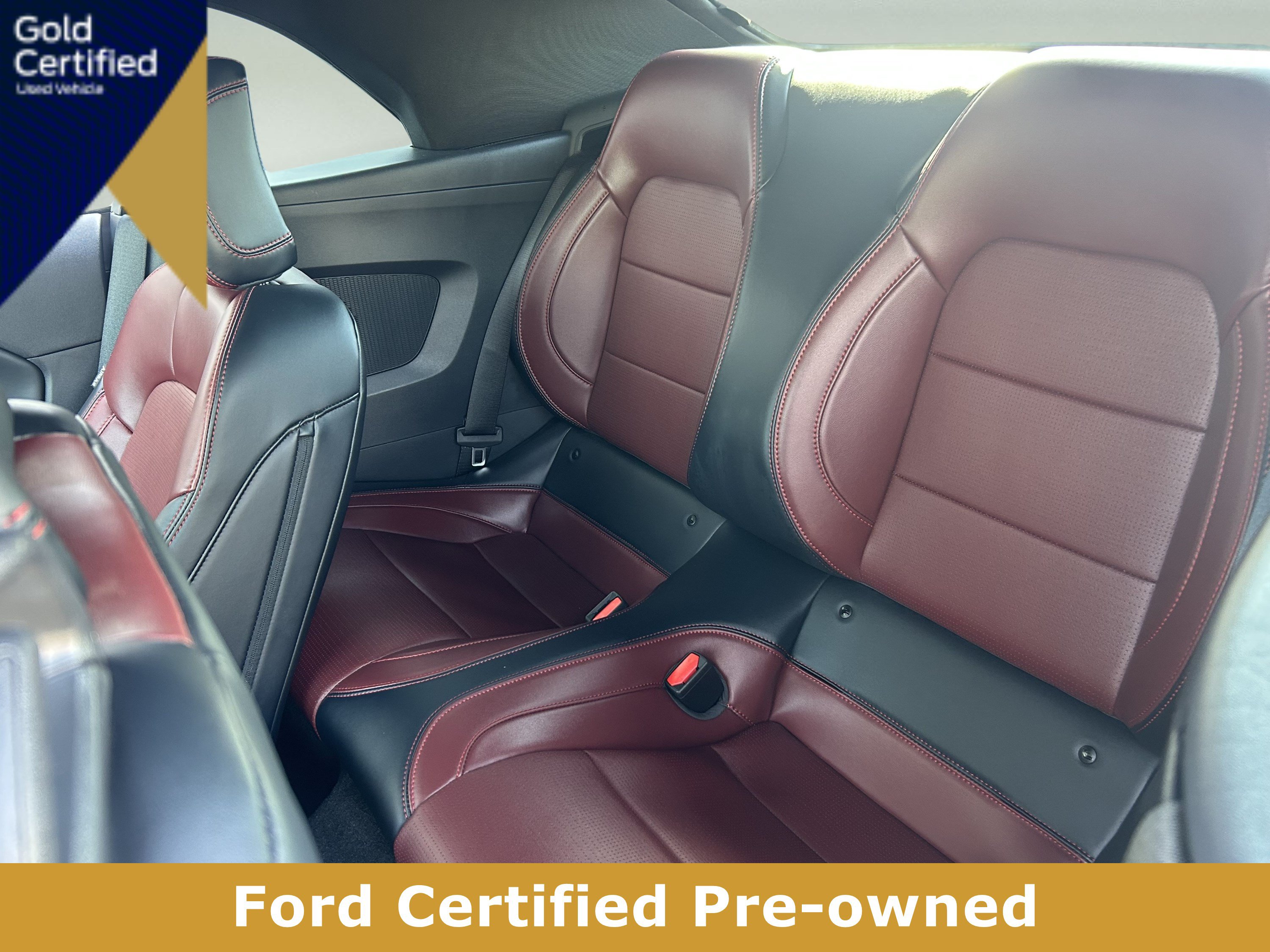 Certified 2026 Ford Mustang GT Premium RWD image 14