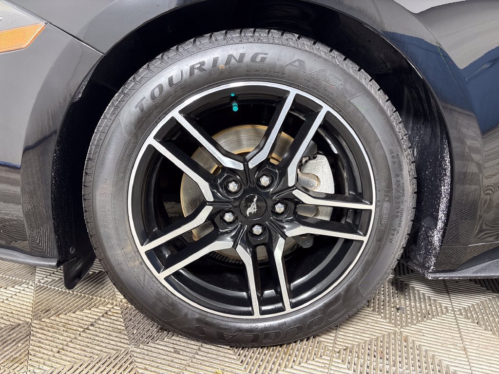 Certified 2019 Ford Mustang Premium RWD image 12
