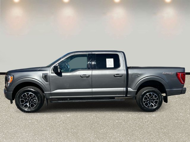 Certified 2023 Ford F150 XLT w/ Equipment Group 302A High AWD/4WD image 8