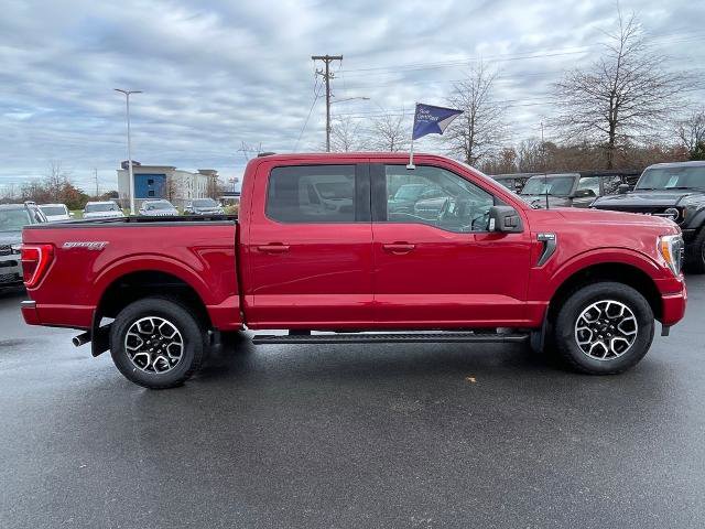 Certified 2022 Ford F150 XLT w/ Equipment Group 302A High image 8