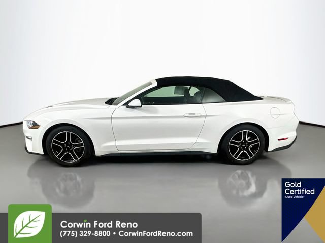 Certified 2021 Ford Mustang Premium RWD image 4