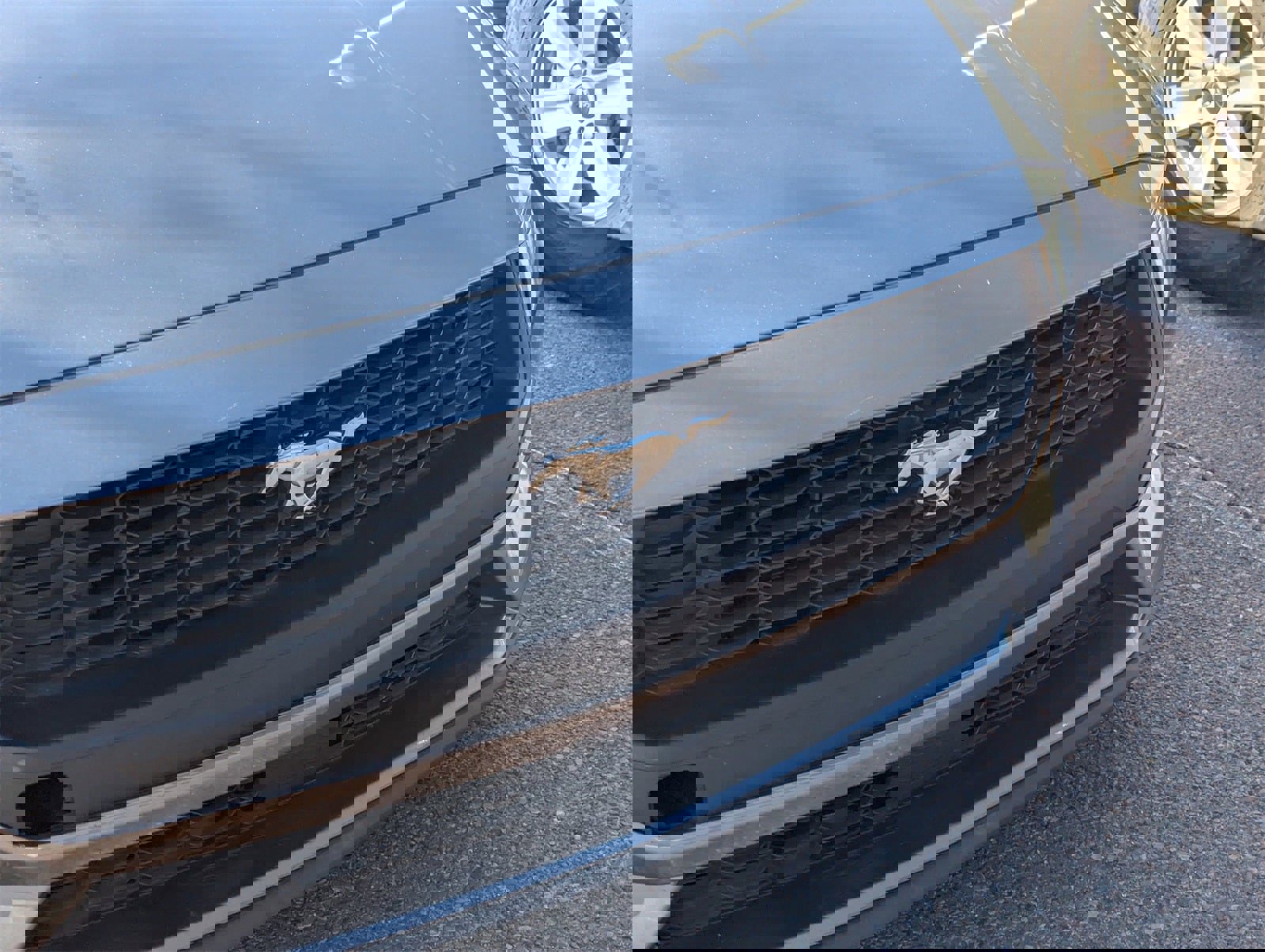 Certified 2024 Ford Mustang Ecoboost image 4