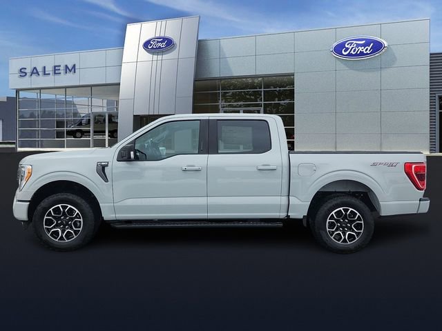 Certified 2023 Ford F150 XLT w/ Equipment Group 302A High image 5