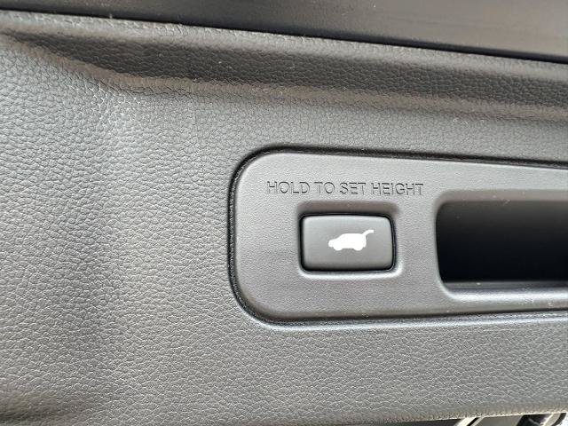Used 2025 Honda Pilot Black Edition image 13