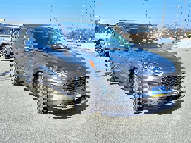 Certified 2022 Ford Escape SEL image 7