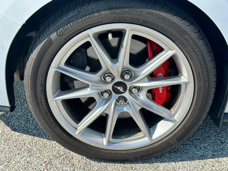 Certified 2024 Ford Mustang GT Premium RWD image 7