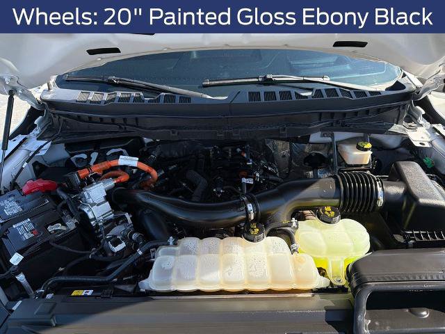 Certified 2024 Ford F150 Platinum w/ Equipment Group 702A High AWD/4WD image 19