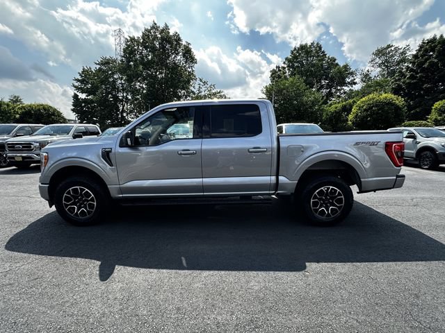 Certified 2023 Ford F150 XLT w/ Equipment Group 302A High AWD/4WD image 3