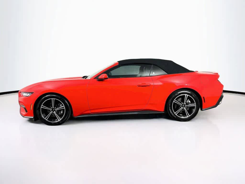 Certified 2024 Ford Mustang Premium RWD image 3