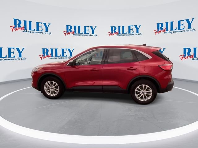 Certified 2022 Ford Escape SE w/ Cold Weather Package AWD/4WD image 6