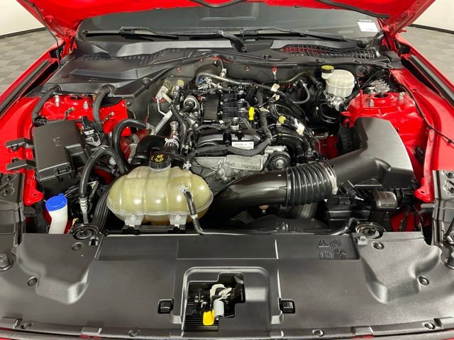 Certified 2021 Ford Mustang Premium image 9