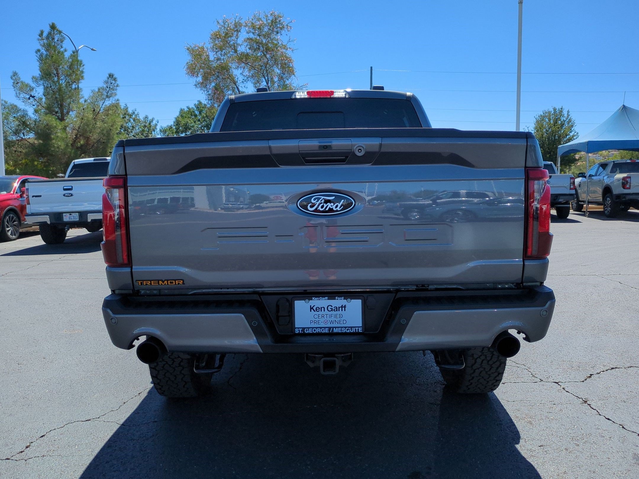 Certified 2025 Ford F150 Tremor w/ Bed Utility Package AWD/4WD image 6