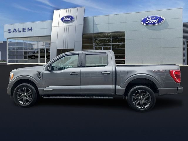 Certified 2023 Ford F150 XLT w/ Equipment Group 302A High AWD/4WD image 5