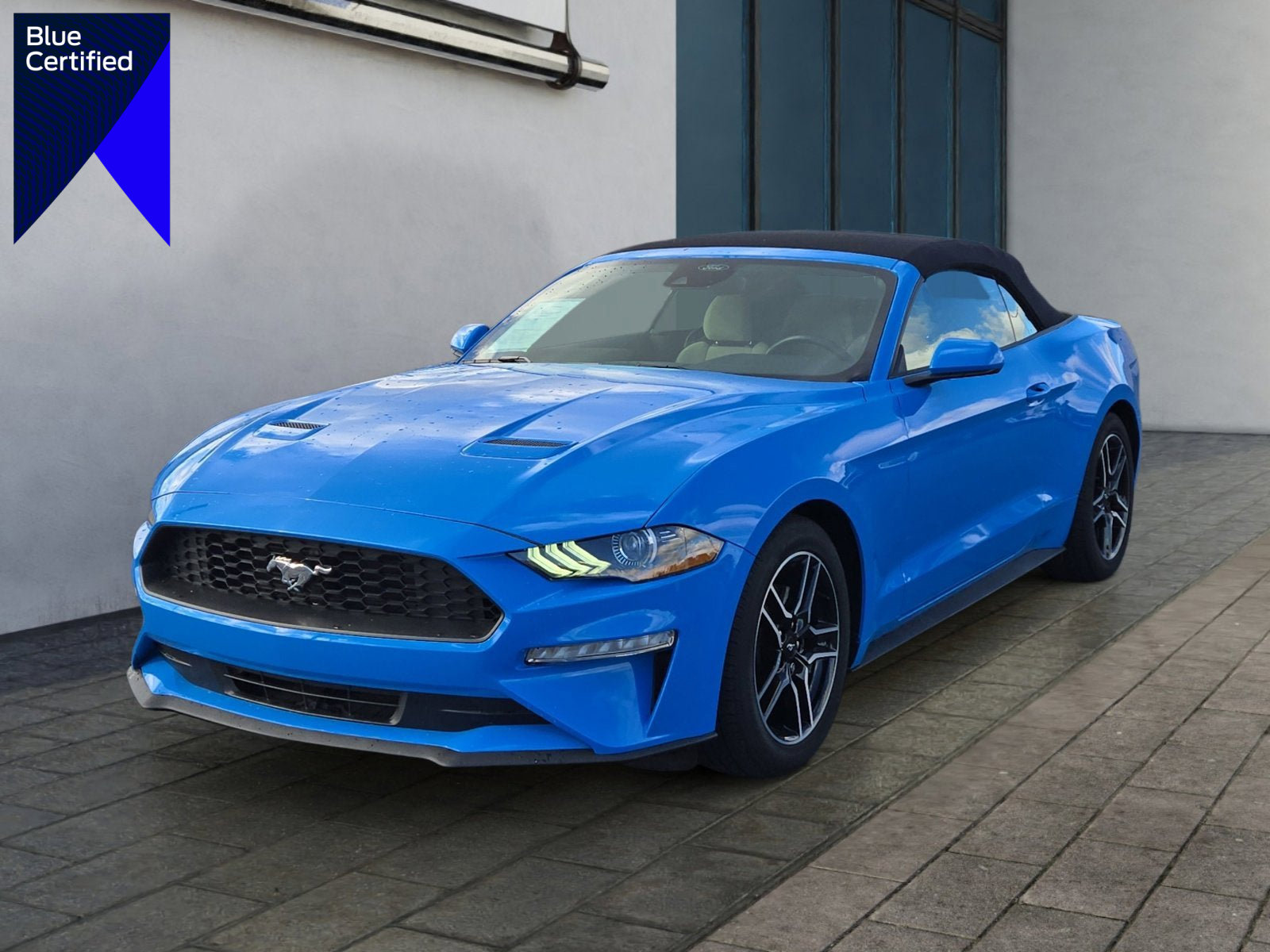 Certified 2022 Ford Mustang Convertible w/ Equipment Group 101A