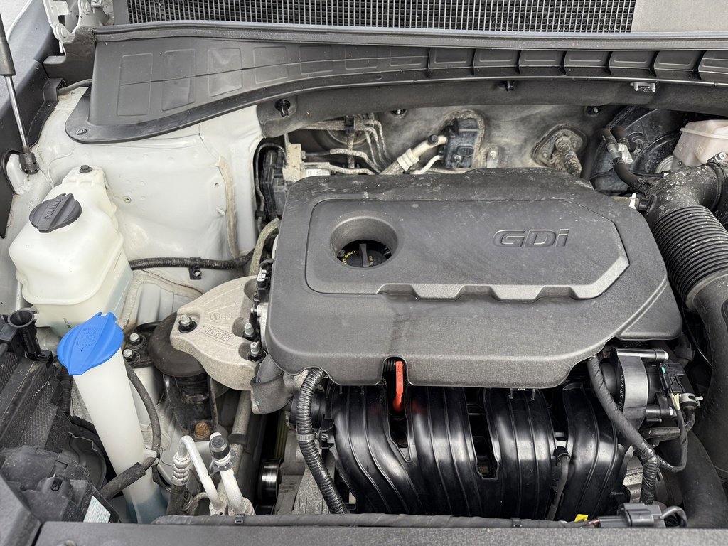 Used 2019 Kia Sorento L image 42