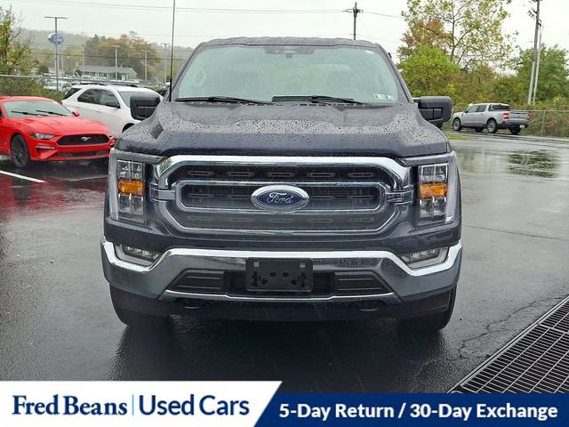 Certified 2022 Ford F150 XLT w/ Equipment Group 302A High image 3