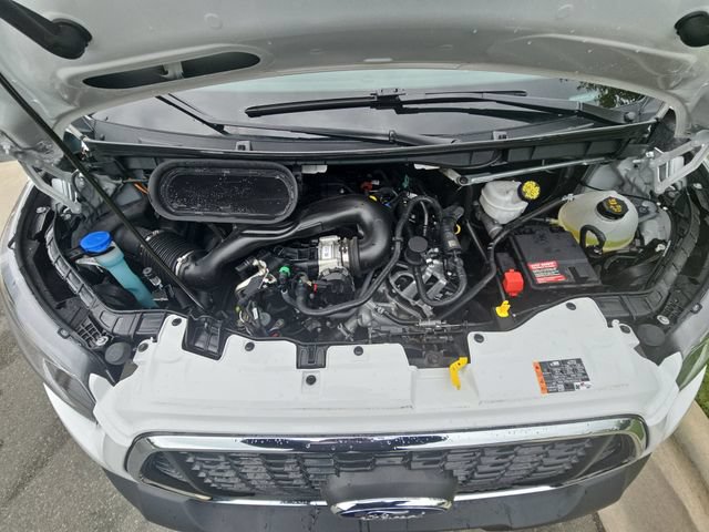 Certified 2025 Ford Transit 250 Low Roof w/ Exterior Upgrade Package RWD image 14