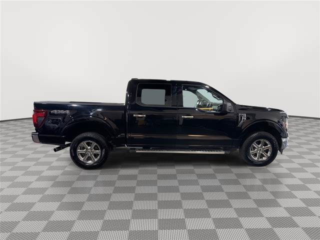 Certified 2025 Ford F150 XLT w/ Equipment Group 301A Standard AWD/4WD image 6