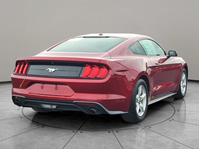 Certified 2019 Ford Mustang Coupe RWD image 12