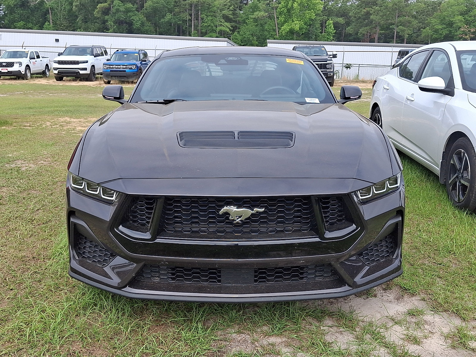 Certified 2024 Ford Mustang GT RWD image 2