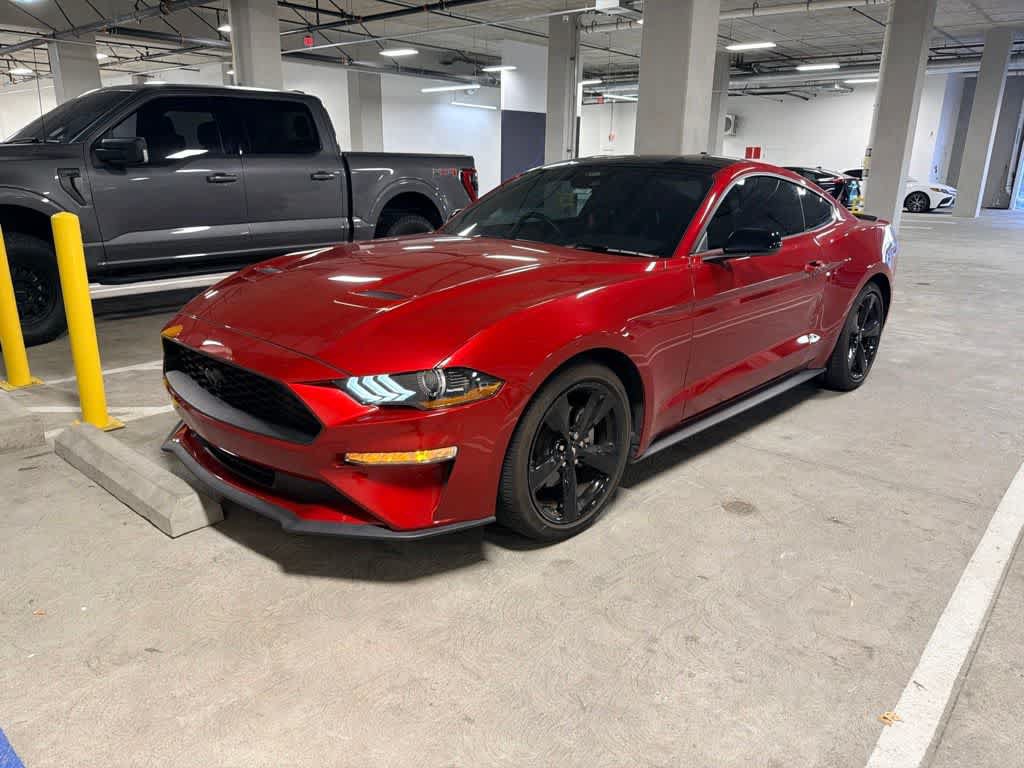 Certified 2023 Ford Mustang Premium w/ Mustang Nite Pony Package RWD image 1