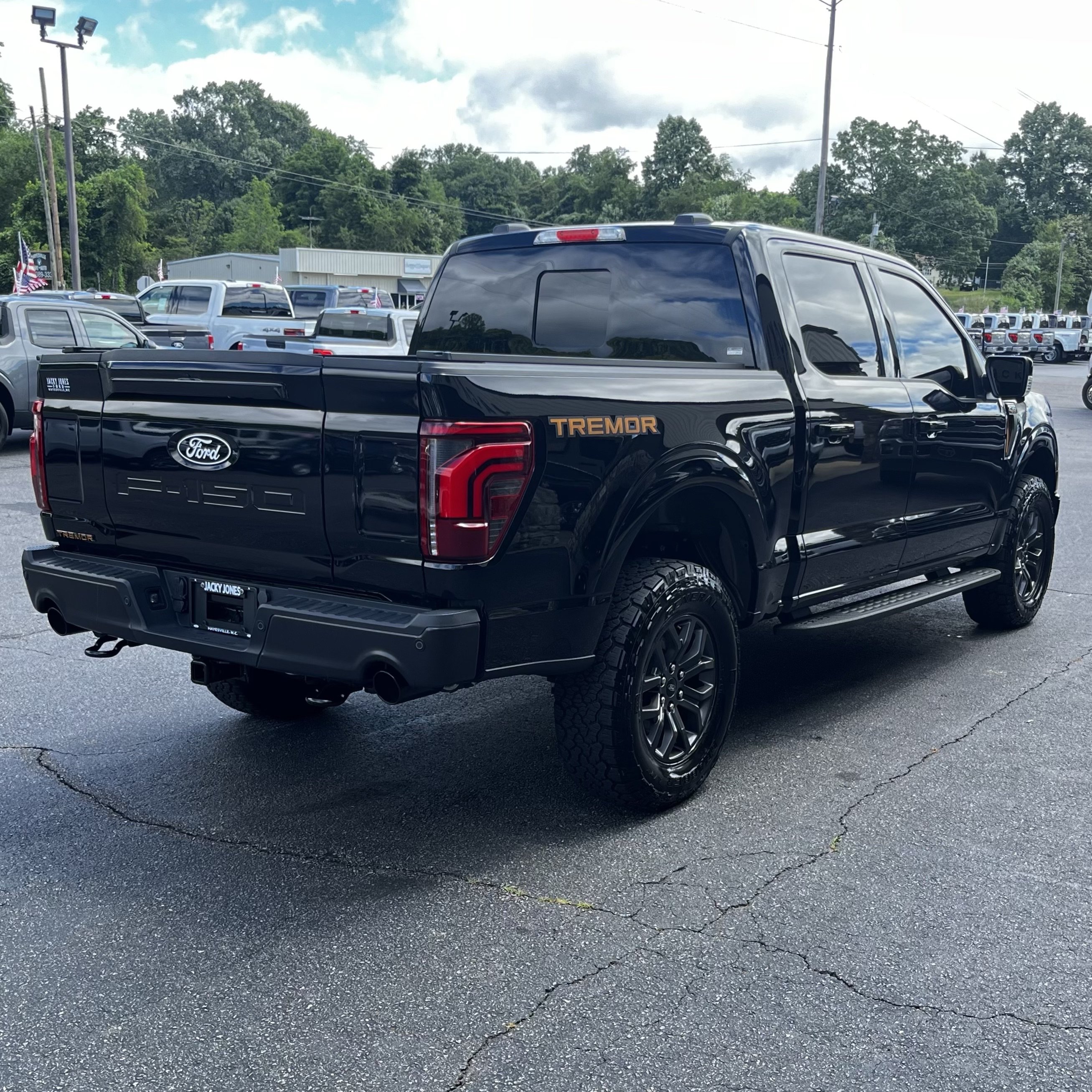 Certified 2025 Ford F150 Tremor w/ Equipment Group 402A High AWD/4WD image 6